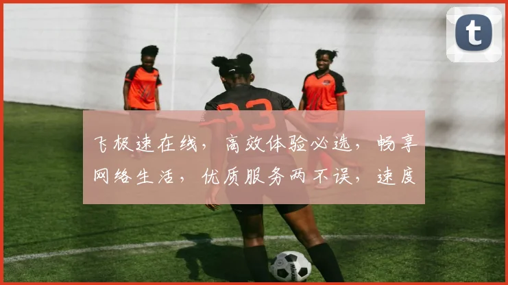 飞极速在线，高效体验必选，畅享网络生活，优质服务两不误，速度与品质双重保证