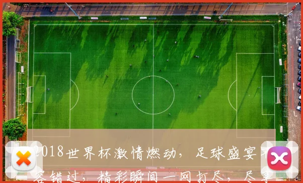 2018世界杯激情燃动，足球盛宴不容错过，精彩瞬间一网打尽，尽享足球狂欢