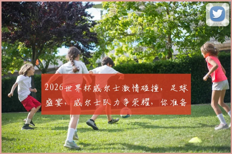 2026世界杯威尔士激情碰撞，足球盛宴，威尔士队力争荣耀，你准备好了吗